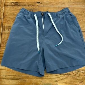 Mens Medium 6in Chubbies Shorts